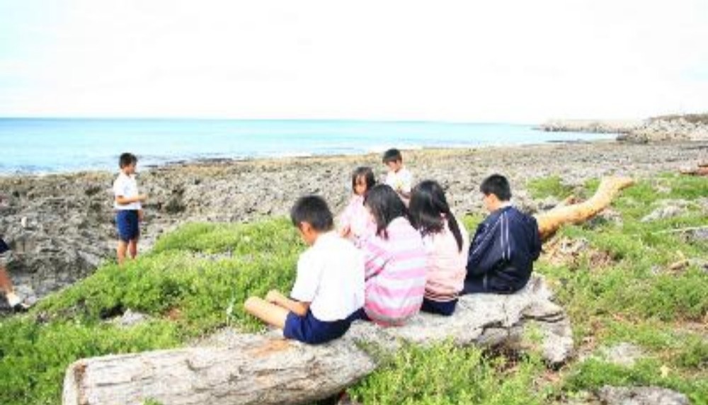 國立海洋生物博物館111年度「海洋學校」計畫